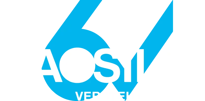 Das Unternehmenslogo von Vassilli.